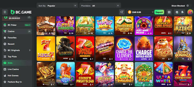 Understanding the BC.Game Login Process Understanding the BC.Game Login Process